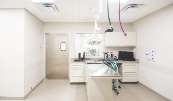 Blue Pearl Veterinary Partners