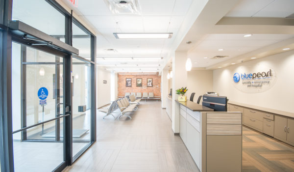 Blue Pearl Veterinary Partners