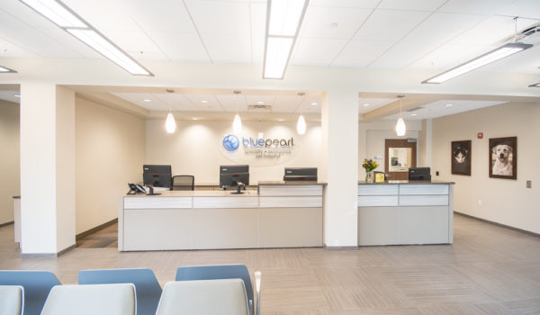 Blue Pearl Veterinary Partners