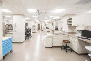 Blue Pearl Veterinary Partners