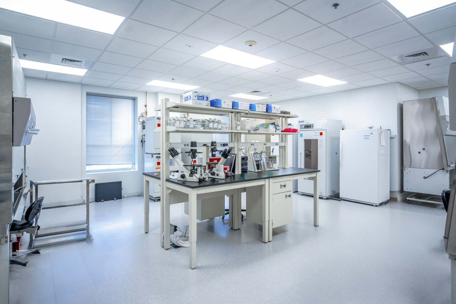Healthcare & Life Sciences