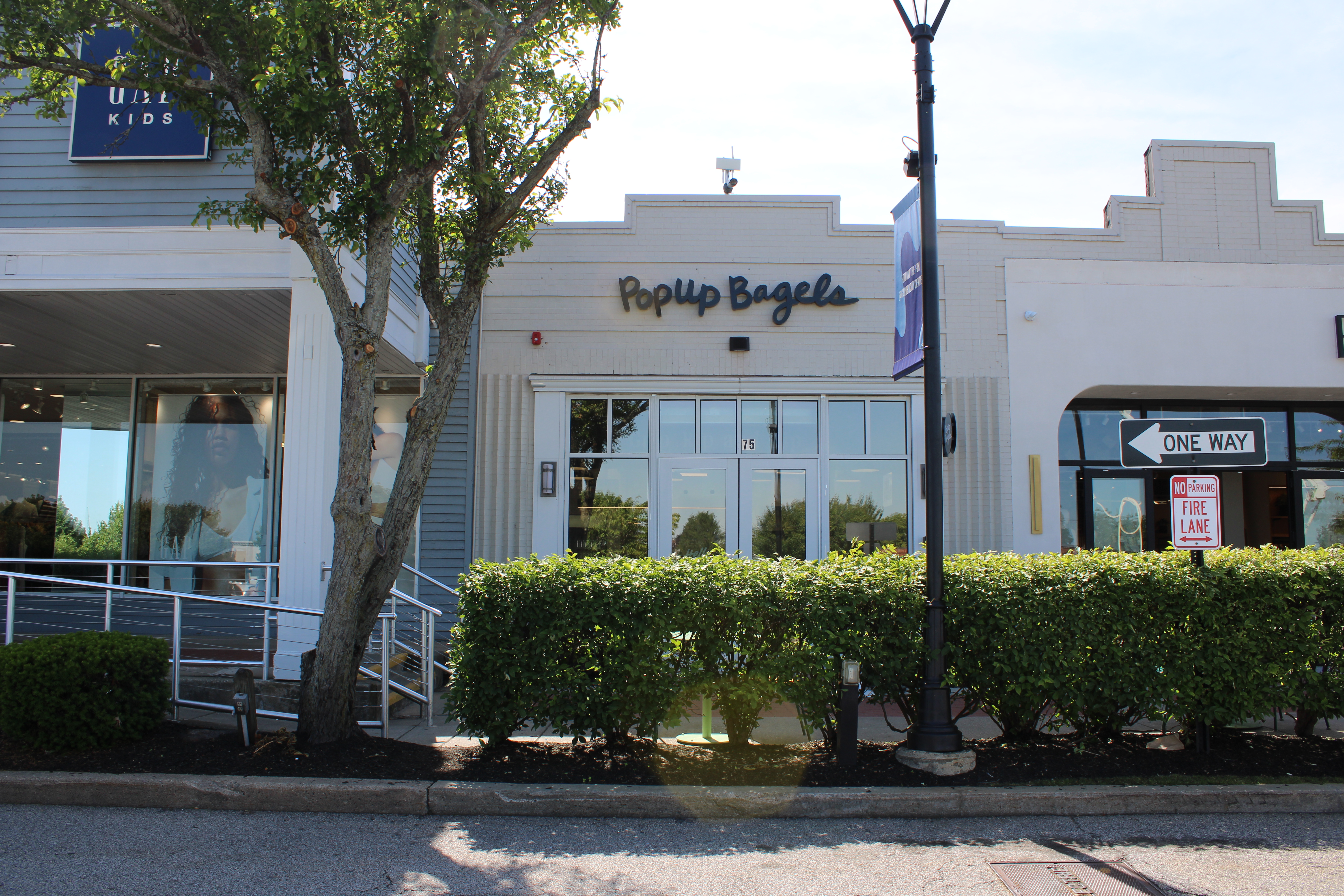 PopUp Bagels